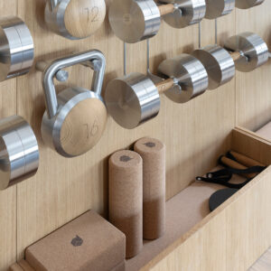 luxury gym equipment